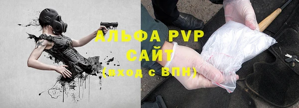 прущие грибы Пересвет