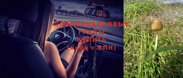 бутират Арсеньев